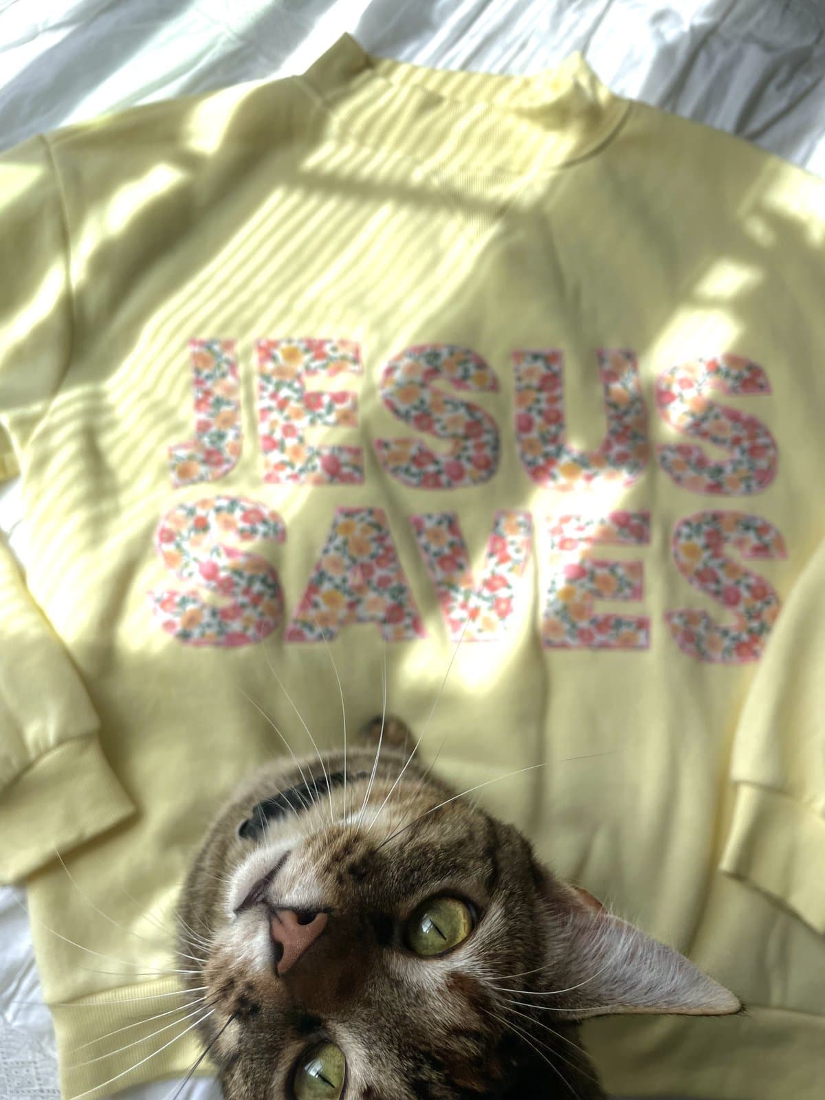 The studio cat lounging on the freshly stitched yellow Jesus Saves sweatshirt